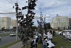 В пензенском Арбеково появилось более 20 молодых кленов