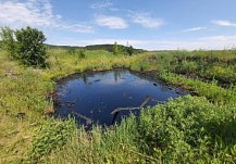 В Кузнецком районе на сельхозземлях произошел разлив нефти