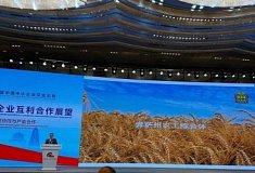 На форуме в Китае презентован агропромышленный потенциал Пензенской области