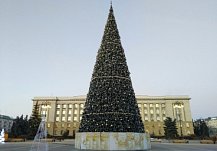 Главную новогоднюю елку в Пензе установят до 10 декабря