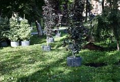 Начался осенний этап проекта «Зеленая Пенза»