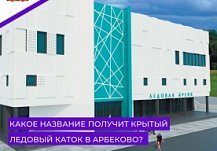 В Пензе открылось голосование за название нового открытого катка в Арбеково