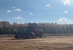 В Пензенской области собрано более 3 млн тонн зерна