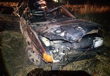 Стала известна судьба лося после ДТП в Лопатинском районе