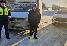 Инспекторы ДПС помогли водителю ГАЗели без топлива в Лунинском районе