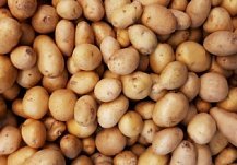 Картофель в Пензенской области подорожал на 89,8%