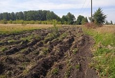 На окраинах Пензы обновляют минерализованные полосы