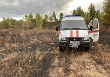 В Пензенской области нашли виновника пожара на пшеничном поле