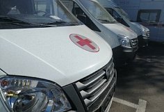 В Пензенском районе водитель грузовика врезался в дорожный знак и погиб