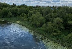 В Пензенской области стартовал сезон охоты на пернатую дичь