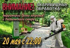На Тропе здоровья и в Учительском сквере в Пензе запланирована ночная акарицидная обработка