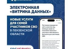 Участники СВО и их семьи смогут подать заявление на госпомощь онлайн
