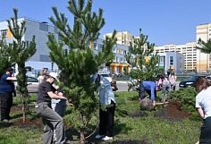 Пензе высадили 90 деревьев в честь 81-й годовщины Великой Победы