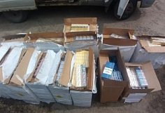 В Пензенской области изъято 40,5 тыс. пачек контрафактных сигарет