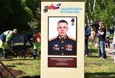 На Аллее Памяти в Пензе появились новые деревья