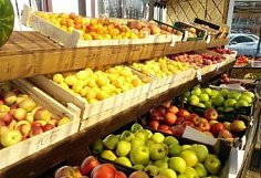 В Пензе разыграют более 60 мест под палатки с овощами, фруктами и бахчевыми