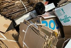 В Пензенской области построят мощный мусороперерабатывающий комплекс и четыре станции