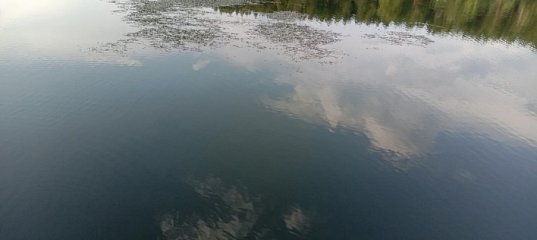 Утонула луна. Сосновоборский пруд Пензенская область.