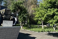 Деревья на улице Измайлова в Пензе погибли из-за ясеневой златки