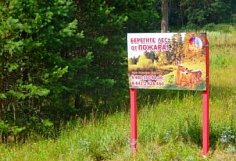 Пензенцам запретили посещать леса