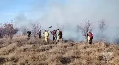 В Сердобском районе сгорело 300 кв. м камыша