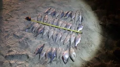 В Пензенском районе задержан рыбак с сетью