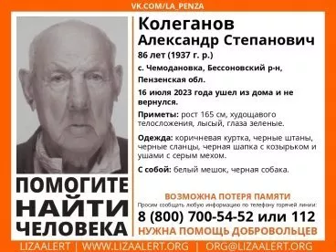 В Бессоновке пропал 86-летний Александр Колеганов